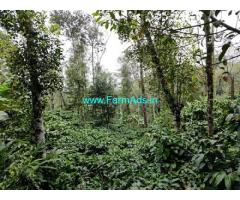 For Sale 7 Acres Of Coffee Plantation Land 9 km from Mudigere