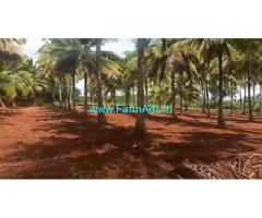 25 Acres Coconut plantation for sale at Muskal