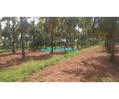 25 Acres Coconut plantation for sale at Muskal
