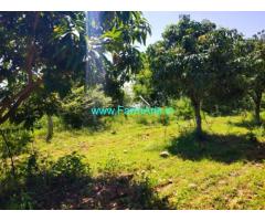 8 Acres Mango garden for Sale In Yaravaripayam