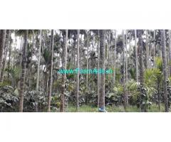 2 Acres Arecanut and Coffee plantation for sale in Chikmagalur