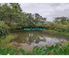 12.5 Acre Coffee Land For Sale near Mudigere