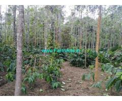 6 Acre Coffee Farm land for sale in Mudigere road