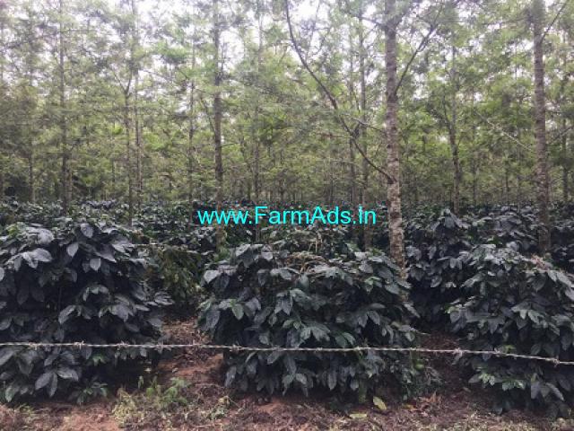 4 Acre Coffee estate for sale in Belur