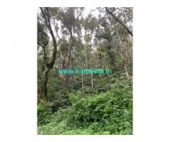 5.5 acre of Coffee Estate Mullayangiri Mountains,Chikmagalur