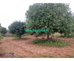 4.5 Acers Mango garden for sale at piler, 75 kms from tirupati