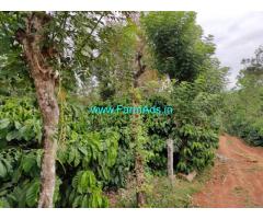 12.5 Acre Land For Sale - 10 km from mudigere city Ckm district