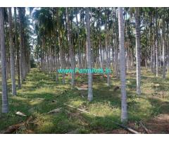 2.29 acres Arecanut plantation for sale Hulithotlu, near Hiriyur