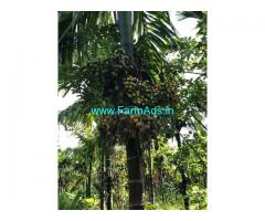 9.21 Acres Arecanut plantation for sale at Kanle, near Sagar