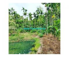 8 acre coffee estate for sale near Chikmagalur