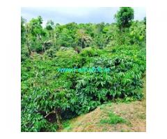 8 acre coffee estate for sale near Chikmagalur