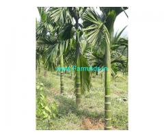 13 acres Agriculture property sale in belthangady naravi road