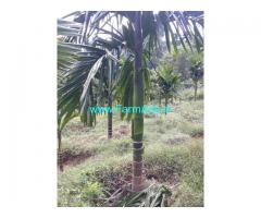 13 acres Agriculture property sale in belthangady naravi road