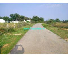 Mango garden and agriculture Land and fish pound for sale at Kadapa