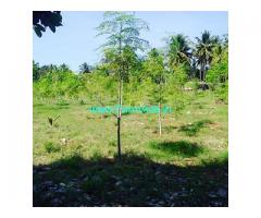 3 acre 10 Gunta farm land for sale near Sakarayapattana,Banavara road