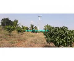 total 6 acre coconut farm for sale at Gundlupete.
