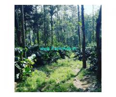 2.5 Acres Areca and Coffee Estate for Sale in Chikmagalur,Balehonnur Road
