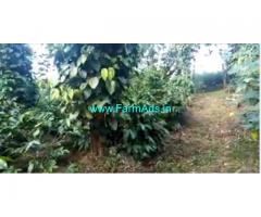 6 Acres Coffee Estate for Sale in Mudigere