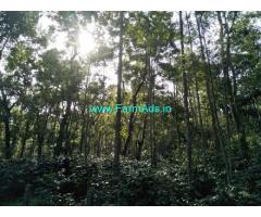 4 Acre Coffee Farm land for sale in Chikmagalur