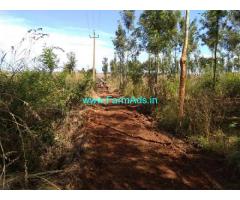 3.5 Acres plain land for sale in Belur, Hassan Highway