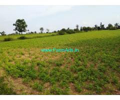 10 Acres Farm Land for Sale 50kms from Tumkur