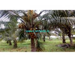 7.5 acers farm land Well developed & maintained for sale at Maddur.