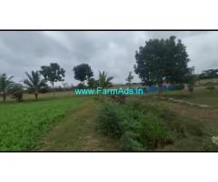 3.16 Acres Farm land for sale at Nerale Village, near Nanjangudu.
