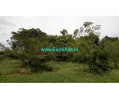 29 Acres farm land for sale in Hiriyur