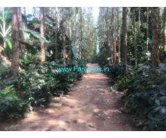 New Home stay with 2 Acres 6 guntas Land for sale in Chikamagalur