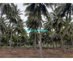 1.60 Acres agriculture land for sale in Pethappampatti, Senjerimalai