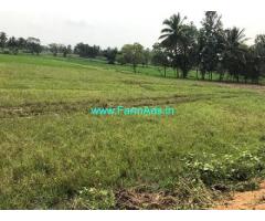 3.5 Acres farm land for sale in Boodanure, Mandya Taluk