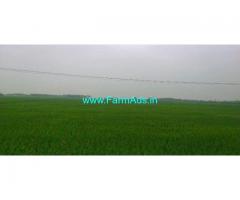 10 Acres Farm Land For sale In Trichy