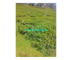 21 Cents agriculture land for sale in Kotagiri 5 kms from kotagiri town