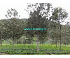 3 Acres agriculture land for sale in Kotagiri 3 kms from town