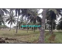 25 acre coconut farm for sale near Begur -  nanjangud and gundalpet
