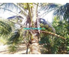5 Acres agriculture land for sale in Sira