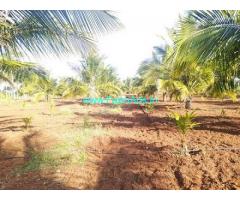 5 Acres agriculture land for sale in Sira