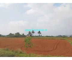 3 Acres Agricultural  Land For Sale In Arakkonam