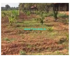 2.23 Acres Poultry farm for sale at Nelamangala Taluk,52km from Majestic
