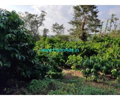 1 Acre Robusta Coffee plantation sale in Mudigere