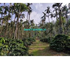 7 Acres Robusta coffee plantation for sale in Mudigere