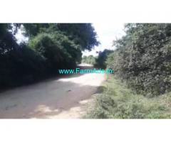 3 Acres Agricultural  Land For Sale In Terakanabi, Mysore 70km