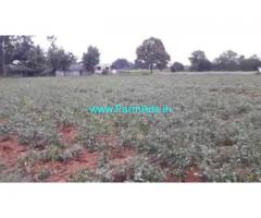4 Acres Agricultural  Land For Sale In Gundlupet
