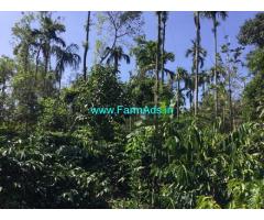3.3 Acres Coffee Estate for Sale in Mudigere