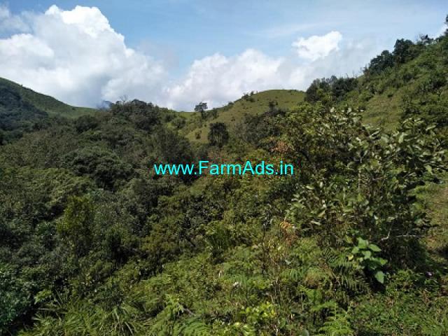 30 Acre land sale in Mudigere near Shishila hills