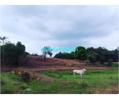 28 Acres Cardamom Estate with Plain Land Sale at Sakleshpur