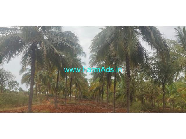 7 Acres Coconut and Areca Farm Land for Sale near Yediyur Main Road.