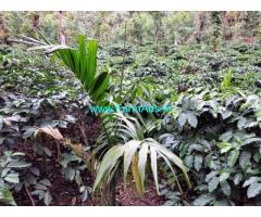 4 Acres Robusta Coffee plantation for sale in Mudigere