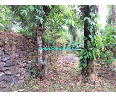 4 Acres Robusta Coffee plantation for sale in Mudigere