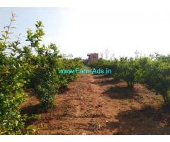 18 Acre high yielding pomegranate plantation Farm house Sale near Sira